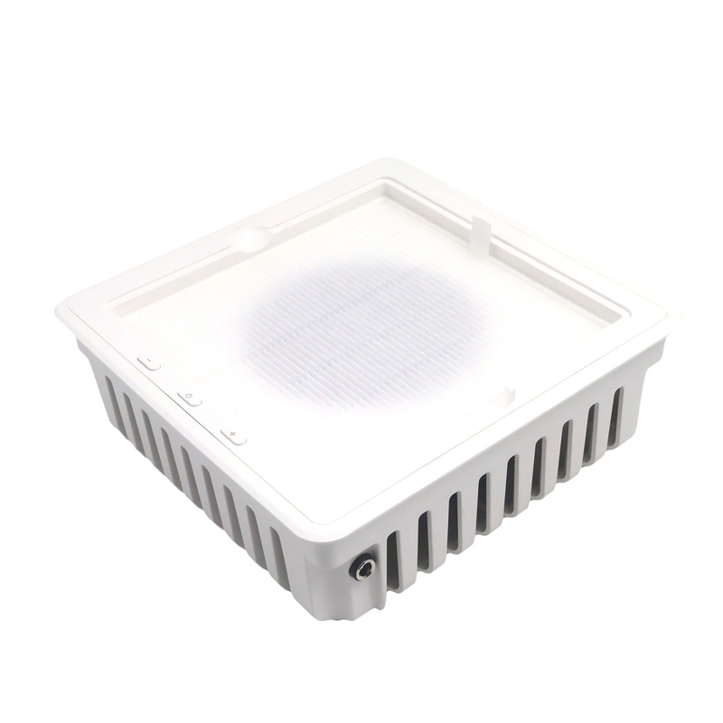 Propesyonal na extractor ng kuko ng kuko